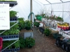 greenhouse-1